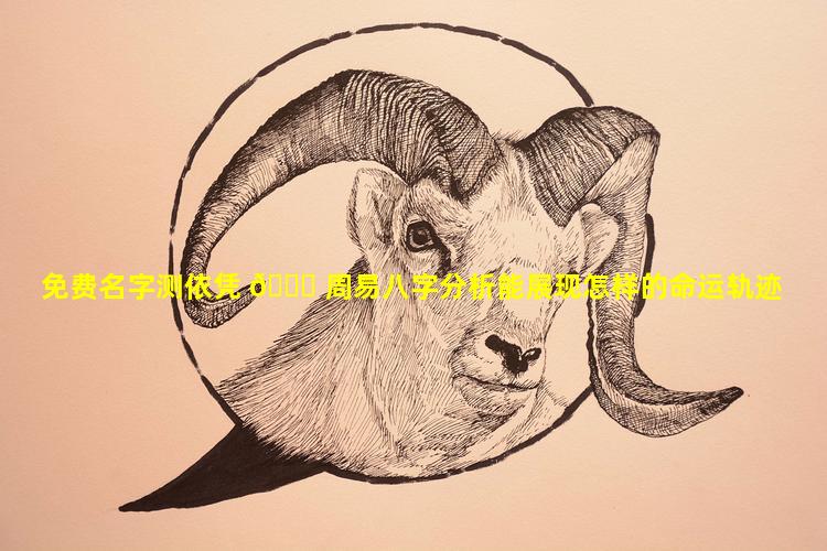 免费名字测依凭 🐎 周易八字分析能展现怎样的命运轨迹